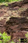 Ehemaliger Sandsteinbruch bei Bornstedt nahe Eisleben, Sachsen-Anhalt, (D) (8) 28.06.2015 (Hornburg-Formation).JPG